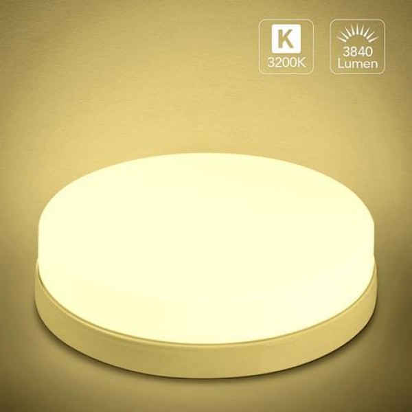 48W Round LED Ceiling Lamp Daylight Lamp Spotlight Surface Lamp Warm White US 