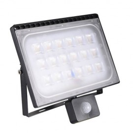 100W LED Flood Light Ultrathin Warm White with PIR Motion Sensor 110V